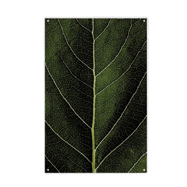 Holzbild "Leaf No.6" artboxONE - Natur,Abstrakt - Blatt,Makro,Nahaufnahme,Struktur,Oberfläche,Natur,Grün