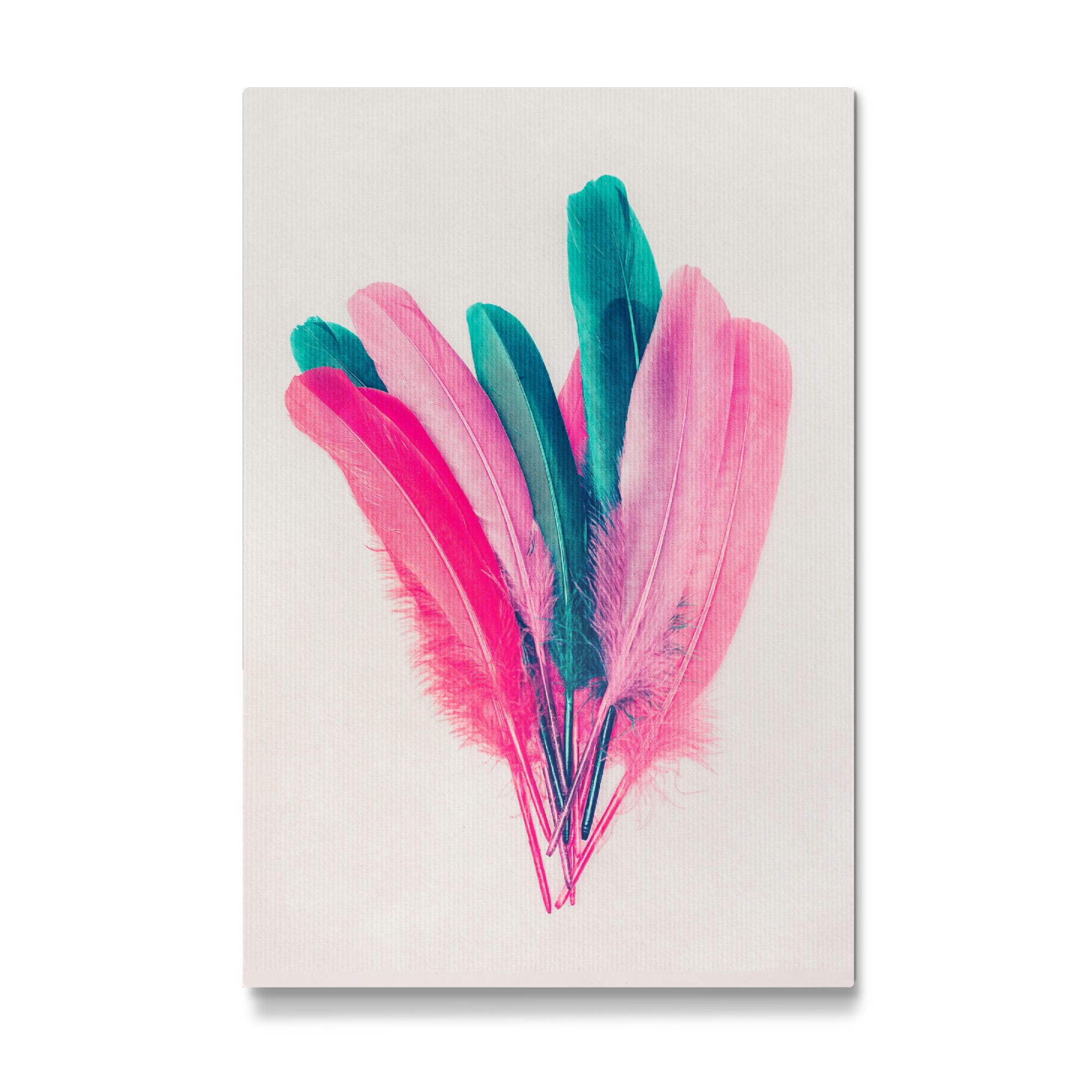 Galerie-Print "Feather Bouquet" 75x50 cm artboxONE