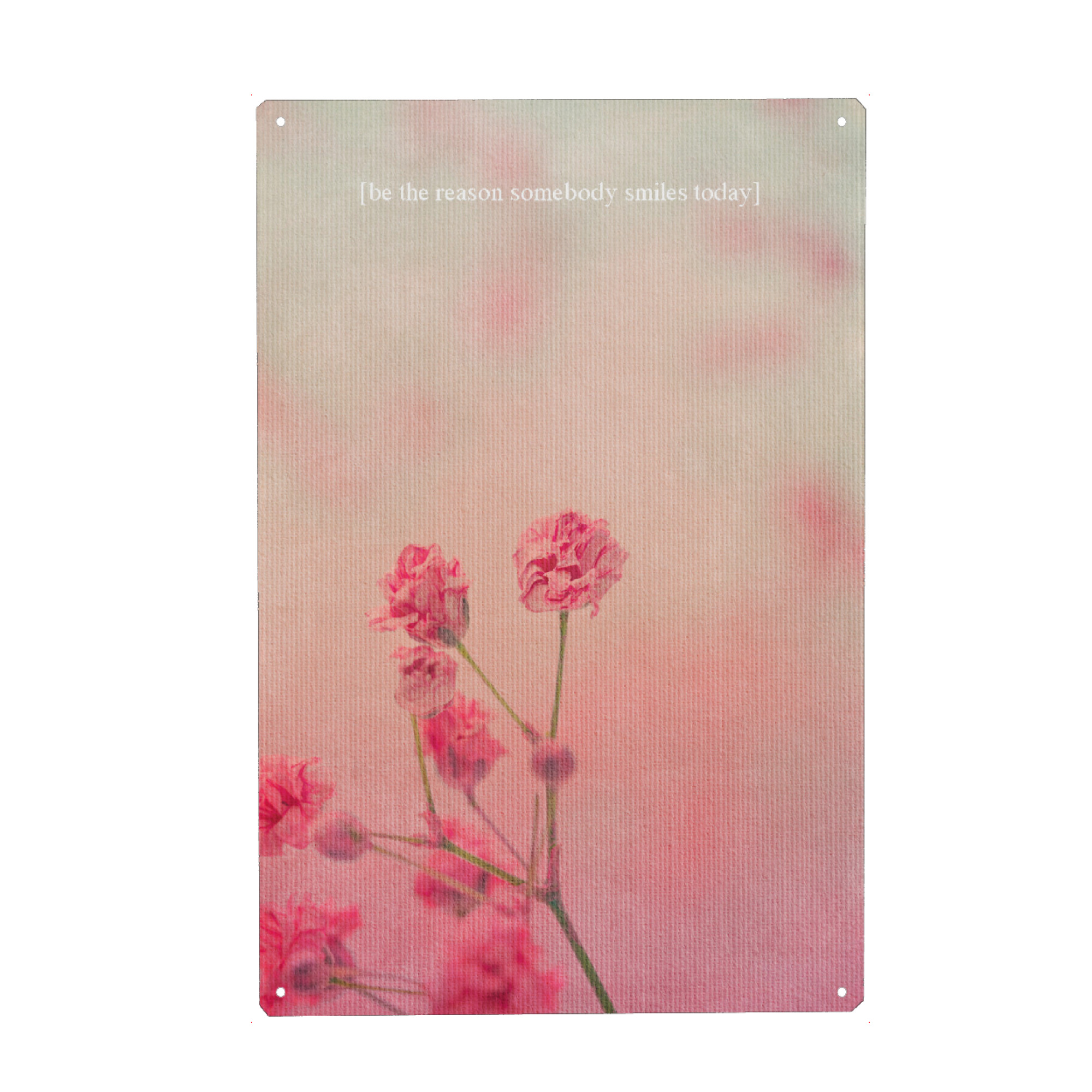 Metall Poster "The Reason To Smile" artboxONE - Typografie,Natur,Floral,Liebe - Blume,Grund,Lächeln,Rosa - Blechschild