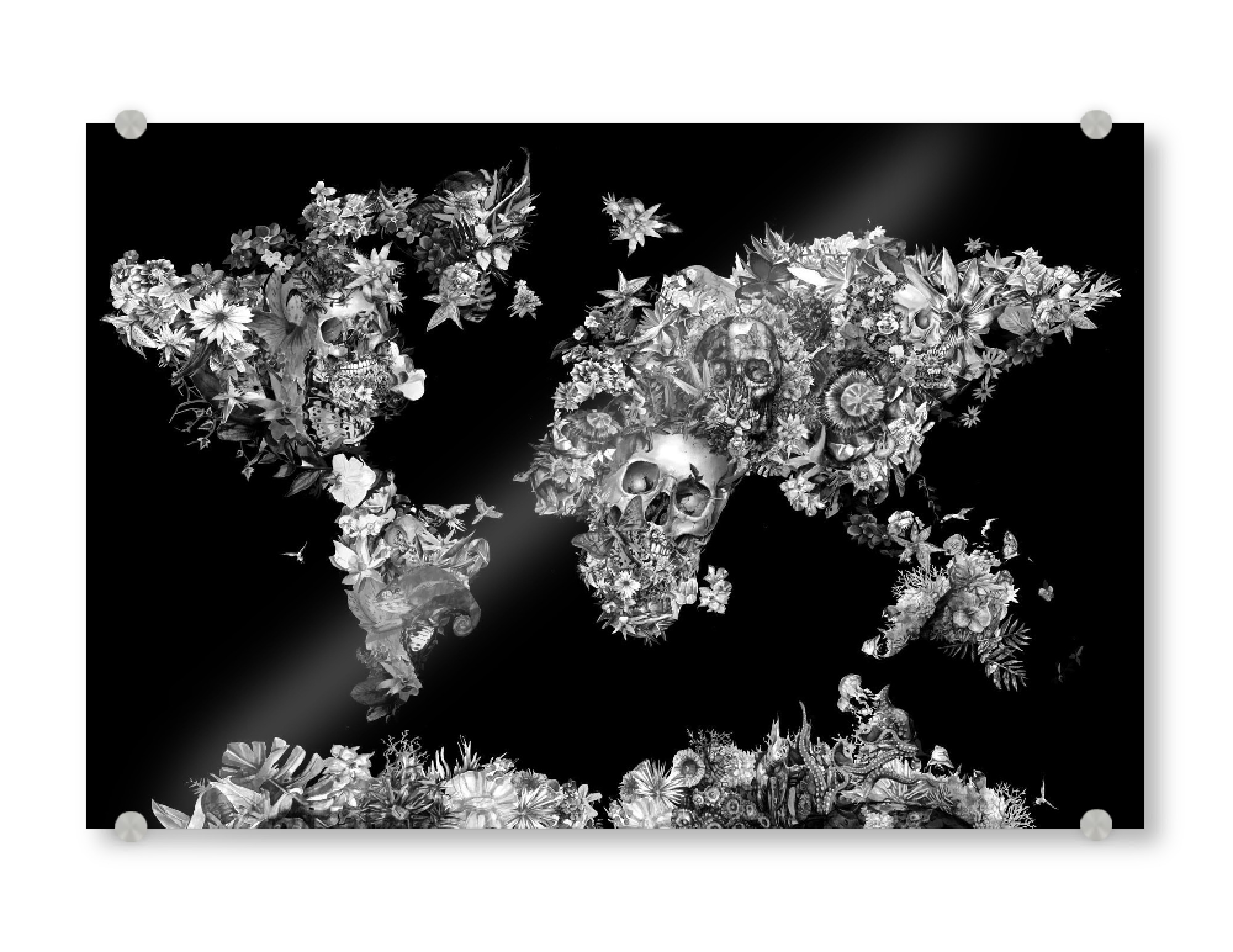Acrylglasbild "Floral skull world map 2" artboxONE - Natur,Floral,Abstrakt,Schwarzweiß,Kartografie