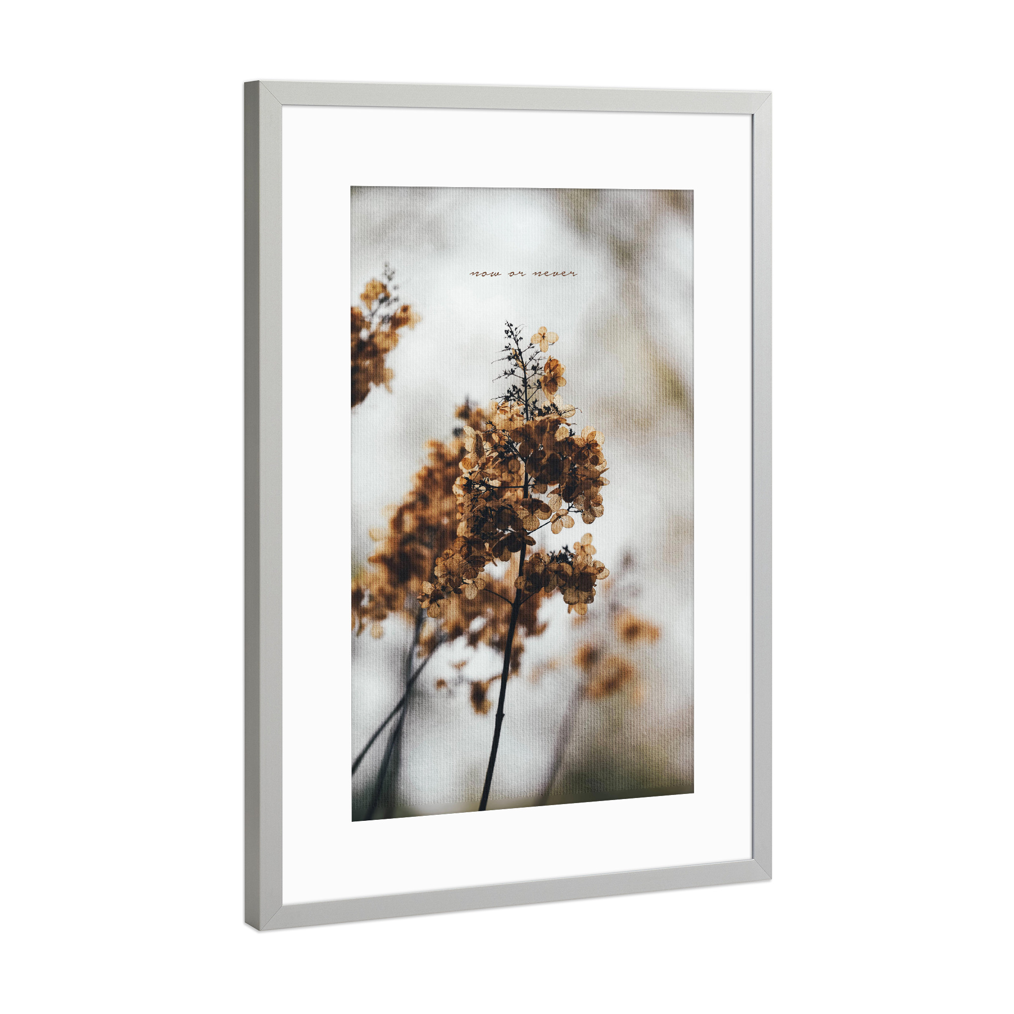 Poster mit Rahmen Silber "Now Or Never" artboxONE - Typografie,Natur,Floral,Liebe