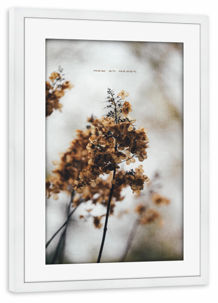 Poster mit Rahmen weiß "Now Or Never" artboxONE - Typografie,Natur,Floral,Liebe