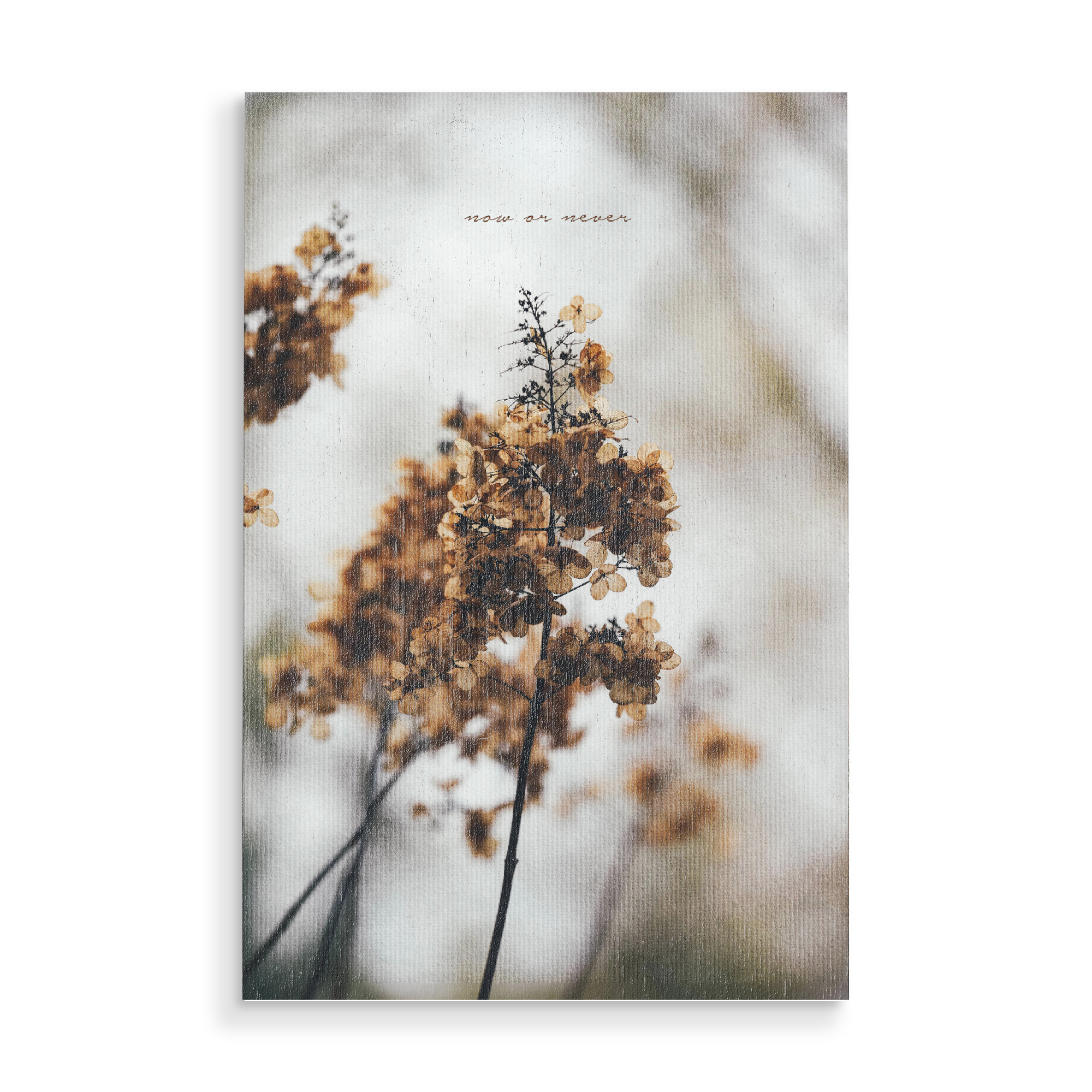 Holzbild "Now Or Never" artboxONE - Typografie,Natur,Floral,Liebe