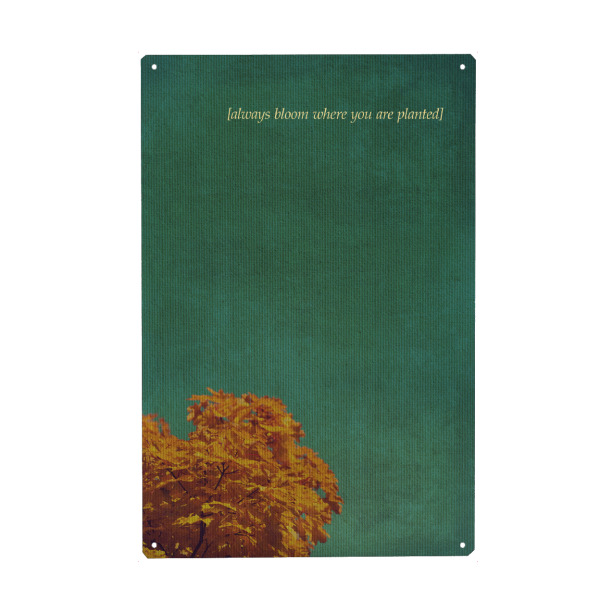 Holzbild "Blooming" artboxONE - Typografie,Natur,Floral,Liebe - Baum,Natur,Weinlese,Retro,Leinwand,Spruch,Weisheit,Leben,Motto,Himmel