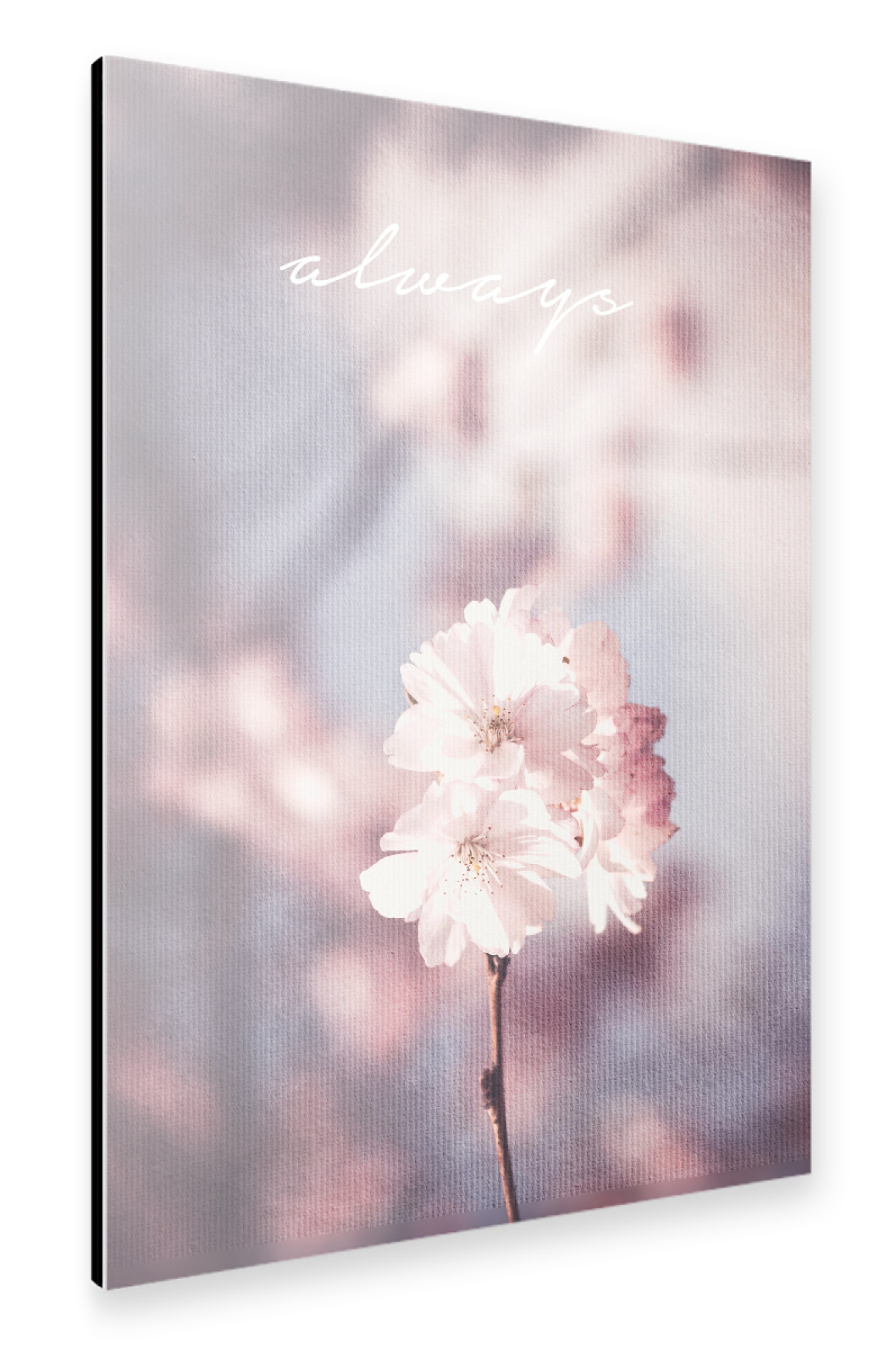 Alu-Dibond "Always" 75x50 cm artboxONE
