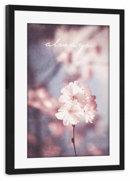 Poster mit Rahmen schwarz "Always" artboxONE - Typografie,Natur,Floral,Liebe - Blume,Natur,Weinlese,Retro,Leinwand,Spruch,Weisheit,Leben,Motto,Blüte
