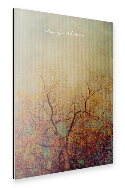Alu-Dibond "Always Bloom" 30x20 cm artboxONE