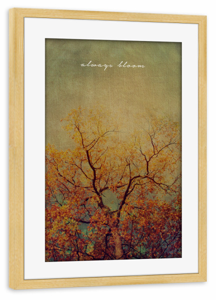 Poster mit Rahmen kiefer "Always Bloom" artboxONE - Typografie,Natur,Floral,Liebe - Baum,Natur,Vintage,Retro,Leinwand,Spruch,Weisheit,Leben,Motto,äste