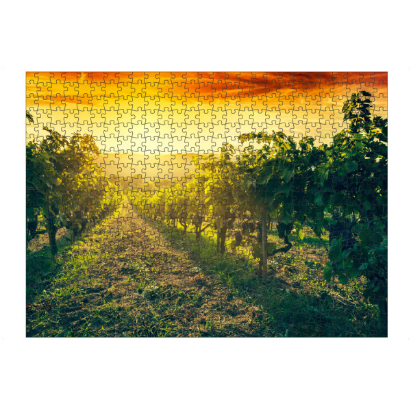 artboxONE Puzzle "Vineyard wonderful landscape in Tuscany, Italy" artboxONE - Reise