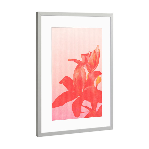 Poster mit Rahmen Silber "Blossom Bomb" artboxONE - Natur,Floral,Abstrakt - Blume,Blüte,Lilie,Orchidee,Rosa,Natur