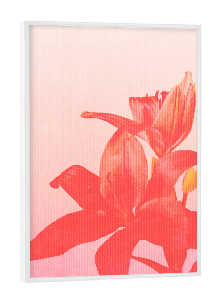 Poster mit weißem Rahmen "Blossom Bomb" artboxONE - Natur,Floral,Abstrakt - Blume,Blüte,Lilie,Orchidee,Rosa,Natur