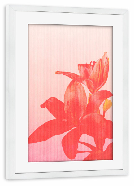 Poster mit Rahmen weiß "Blossom Bomb" artboxONE - Natur,Floral,Abstrakt - Blume,Blüte,Lilie,Orchidee,Rosa,Natur