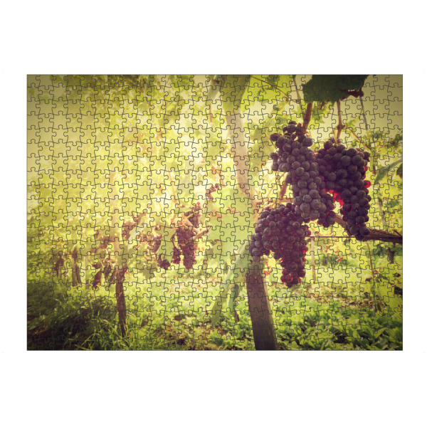 artboxONE Puzzle "Ripe wine grapes on vines in Tuscany vineyard, Italy" artboxONE - Natur,Reise