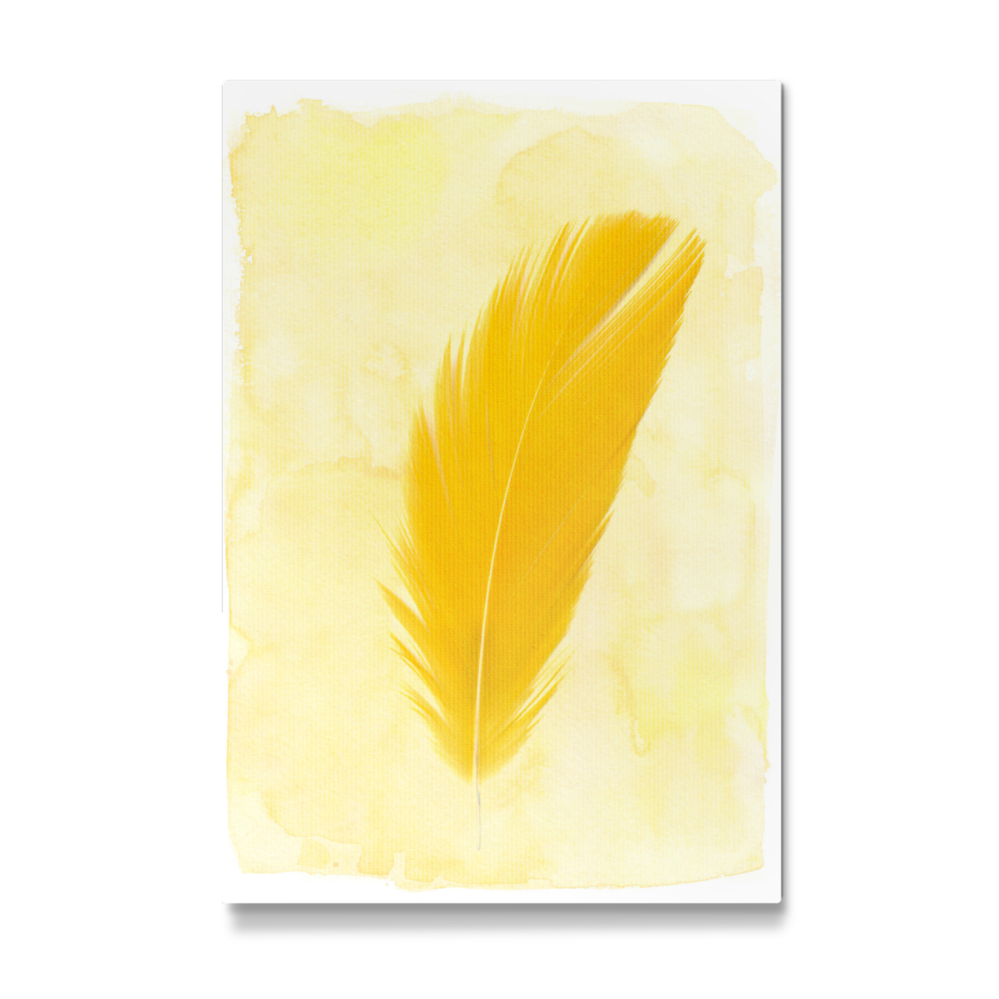 Galerie-Print "Yellow Feather" 75x50 cm artboxONE