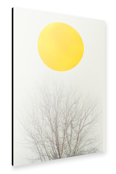 Alu-Dibond "Winter Morning" 30x20 cm artboxONE
