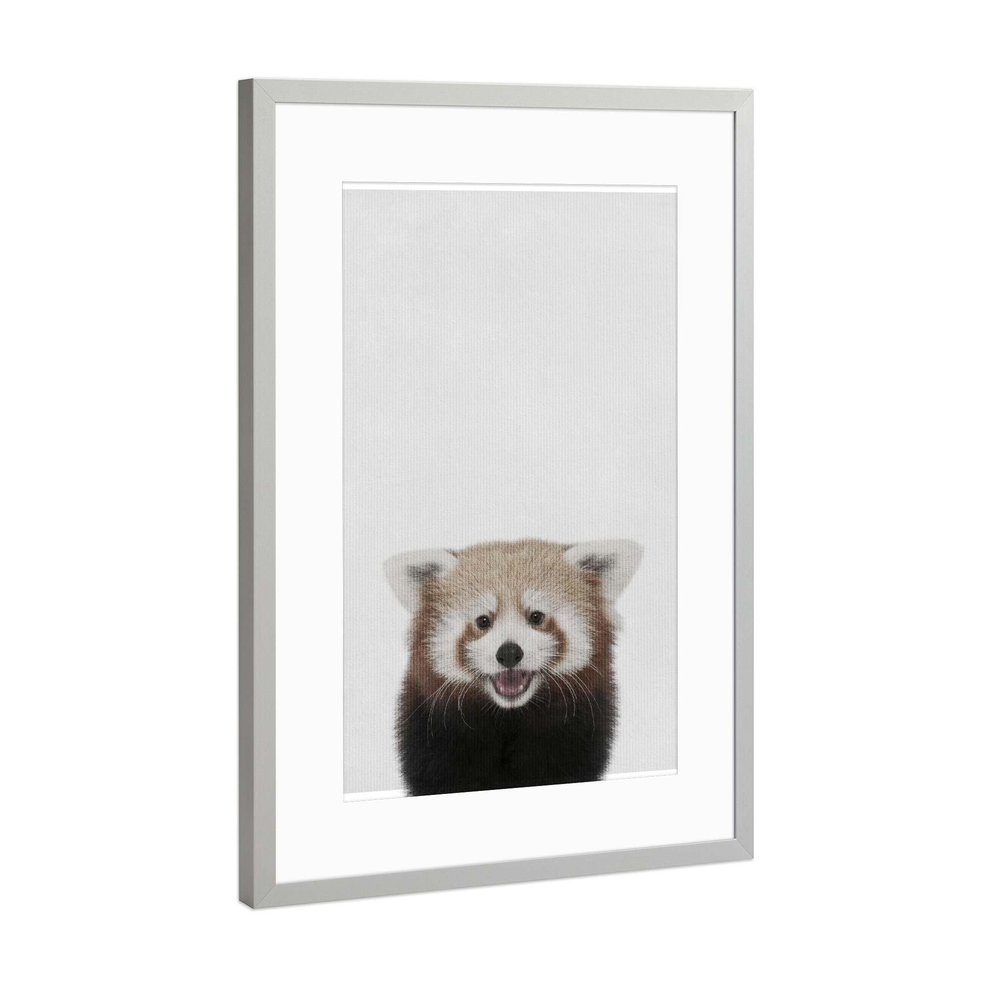Poster mit Rahmen Silber "Little Redcat" artboxONE - Tiere - Tier,Süß,Redcat