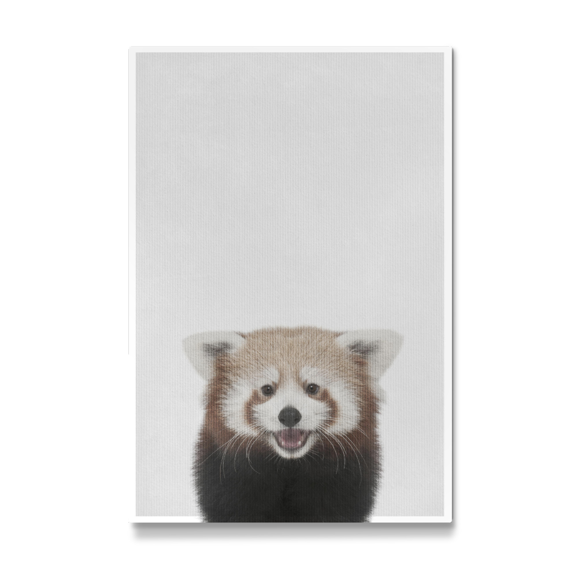 Galerie-Print "Little Redcat" 30x20 cm artboxONE
