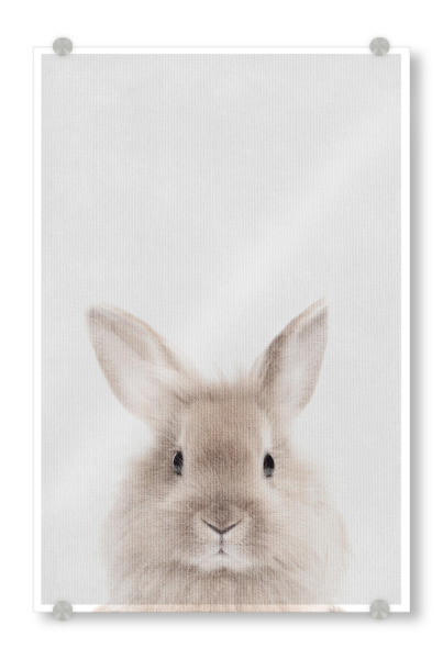 Acrylglasbild "Little Rabbit" artboxONE - Natur,Tiere - Tier,Kaninchen,Hase,Klein