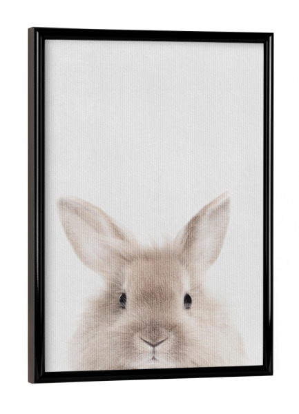 Poster mit schwarzem Rahmen "Little Rabbit" artboxONE - Natur,Tiere - Tier,Kaninchen,Hase,Klein