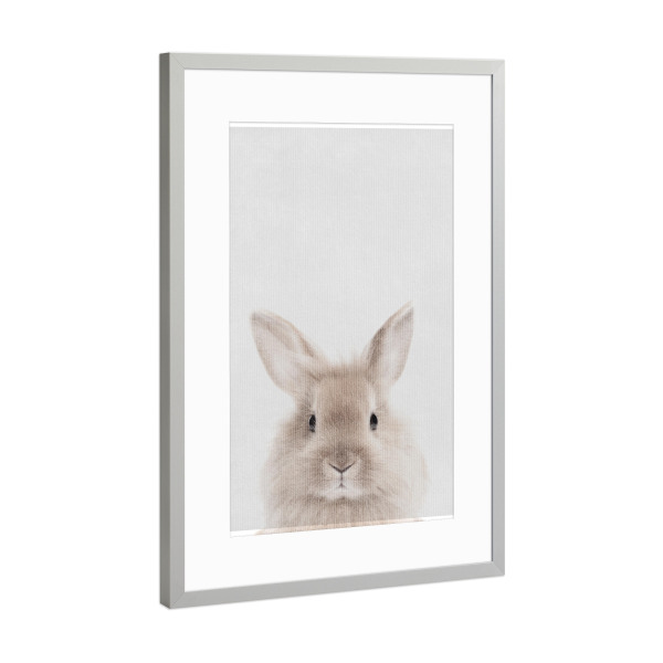 Poster mit Rahmen Silber "Little Rabbit" artboxONE - Natur,Tiere - Tier,Kaninchen,Hase,Klein