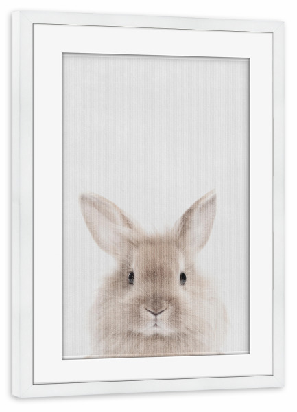 Poster mit Rahmen weiß "Little Rabbit" artboxONE - Natur,Tiere - Tier,Kaninchen,Hase,Klein