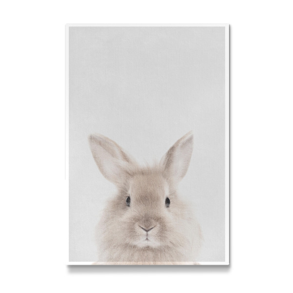 Galerie-Print "Little Rabbit" 30x20 cm artboxONE