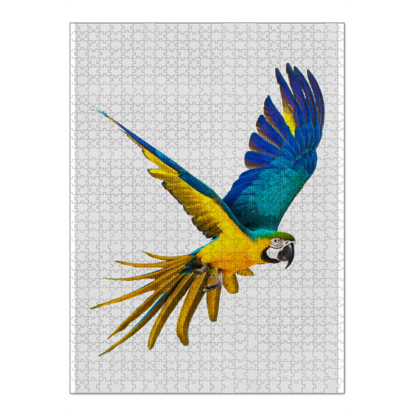 Puzzle Ravensburger "Little Parrot" artboxONE - Natur,Tiere - Tier,Süß,Parrot - Bild tier
