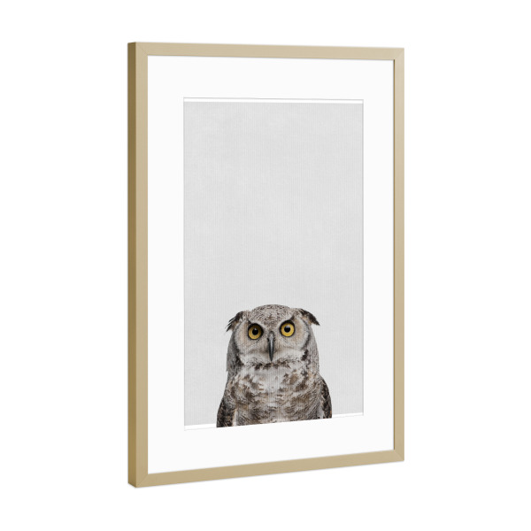 Poster mit Rahmen Gold "Little Owl" artboxONE - Natur,Tiere - Tier,Süß,Eule