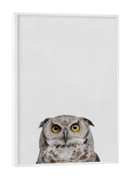 Poster mit weißem Rahmen "Little Owl" artboxONE - Natur,Tiere - Tier,Süß,Eule
