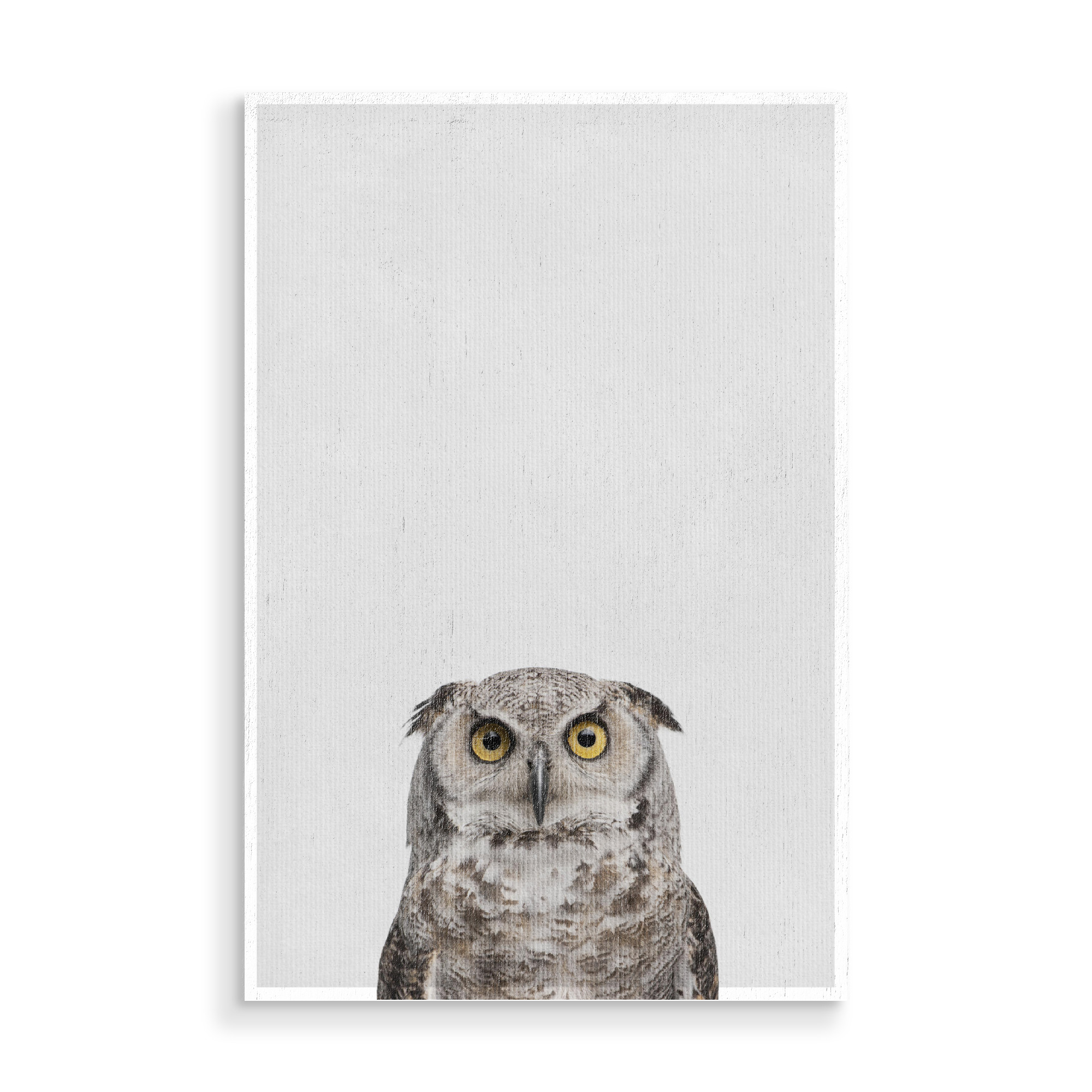 Holzbild "Little Owl" artboxONE - Natur,Tiere - Tier,Süß,Eule