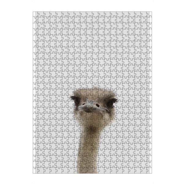 artboxONE Puzzle "Little Ostrich" artboxONE - Natur,Tiere - Tier,Süß,Strauß - Bild Tier