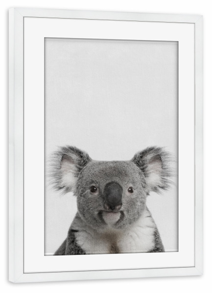 Poster mit Rahmen weiß "Little Koala" artboxONE - Natur,Tiere - Tier,Süß,Koala