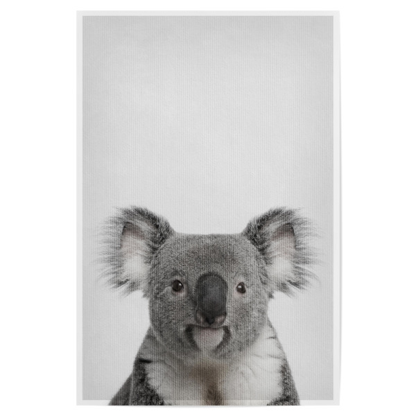 Poster "Little Koala" artboxONE - Natur,Tiere - Tier,Süß,Koala