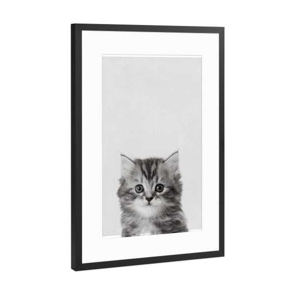 Poster mit Rahmen Schwarz (Metallic) "Little Kitty" artboxONE - Natur,Tiere - Tier,Süß,Kitty,Katze