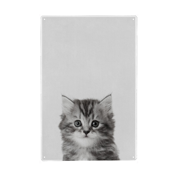 Holzbild "Little Kitty" artboxONE - Natur,Tiere - Tier,Süß,Kitty,Katze