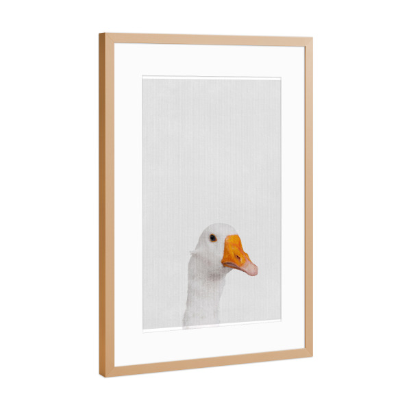Poster mit Rahmen Kupfer "Little Goose" artboxONE - Natur,Tiere - Tier,Süß,Gans