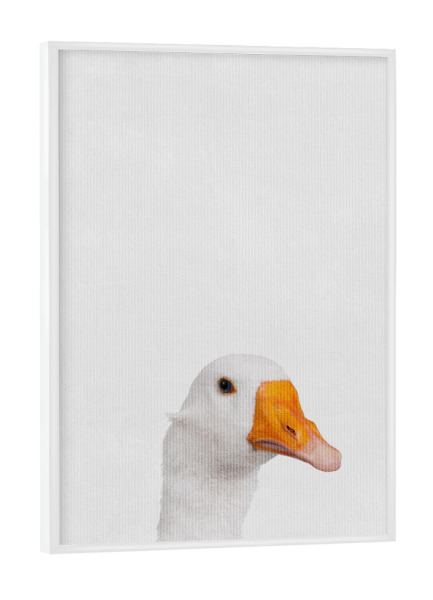 Poster mit weißem Rahmen "Little Goose" artboxONE - Natur,Tiere - Tier,Süß,Gans