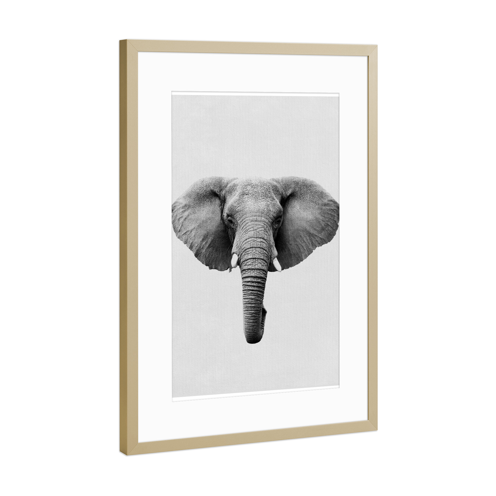 Poster mit Rahmen Gold "Little Elephant" artboxONE - Natur,Tiere - Tier,Süß,Elefant
