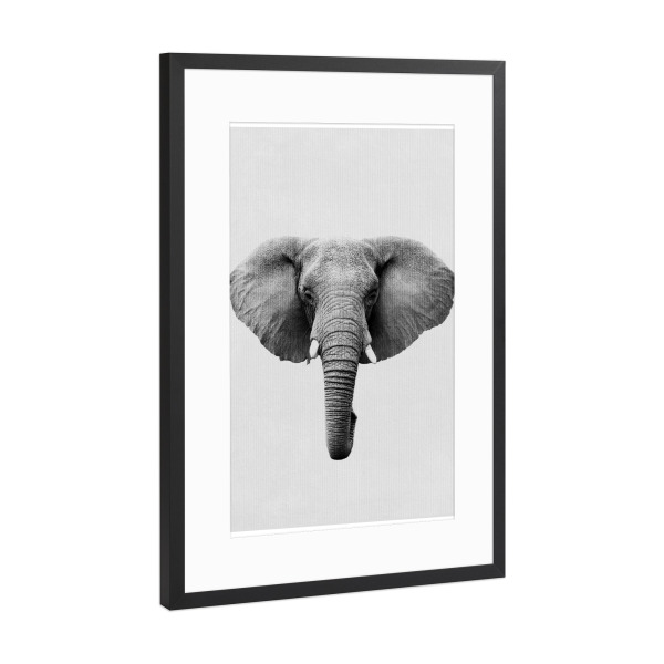 Poster mit Rahmen Schwarz (Metallic) "Little Elephant" artboxONE - Natur,Tiere - Tier,Süß,Elefant