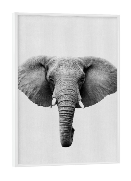 Poster mit weißem Rahmen "Little Elephant" artboxONE - Natur,Tiere - Tier,Süß,Elefant