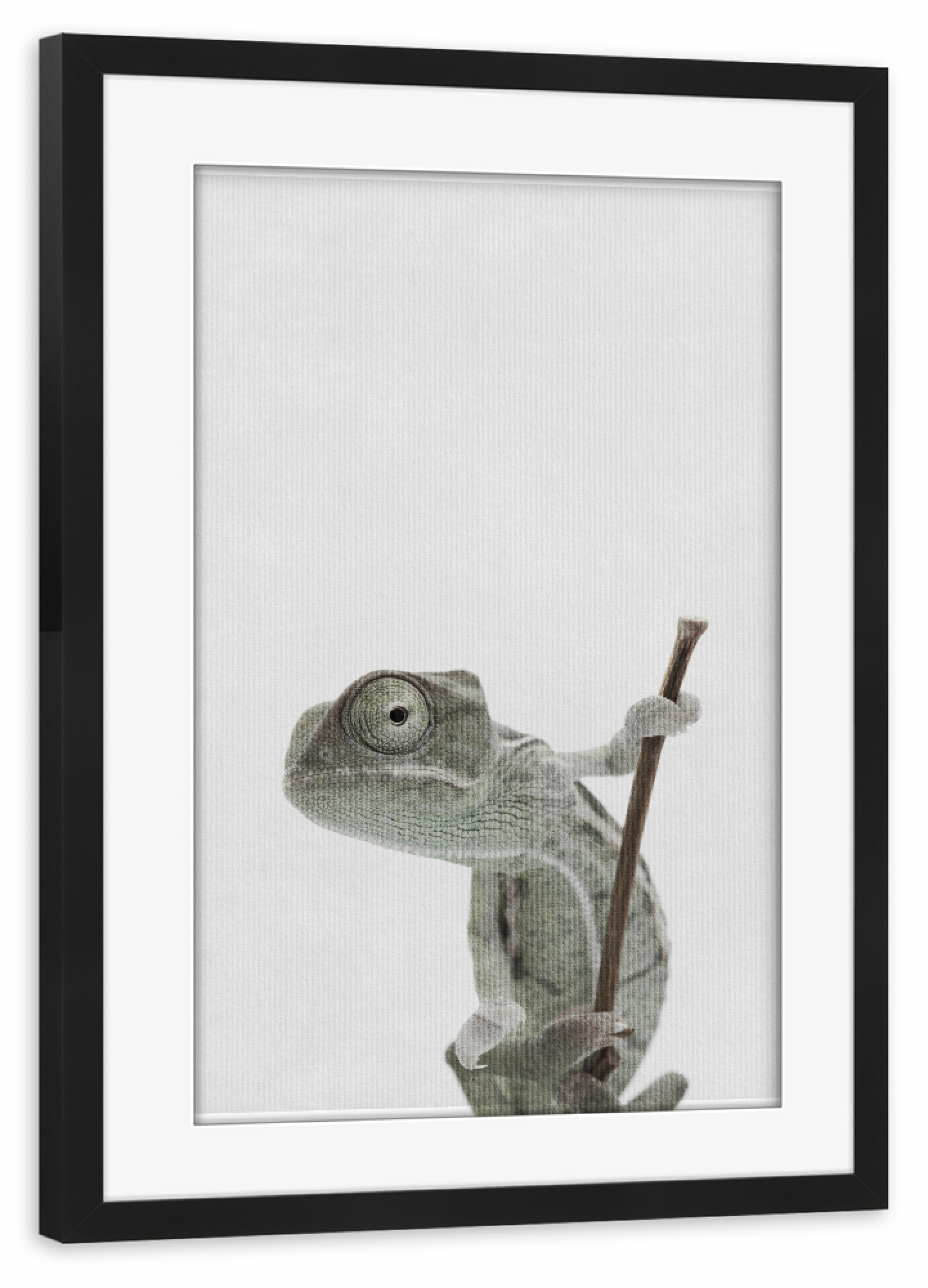 Poster mit Rahmen schwarz "Little Chameleon" artboxONE - Natur,Tiere - Tier,Süß,Chamäleon
