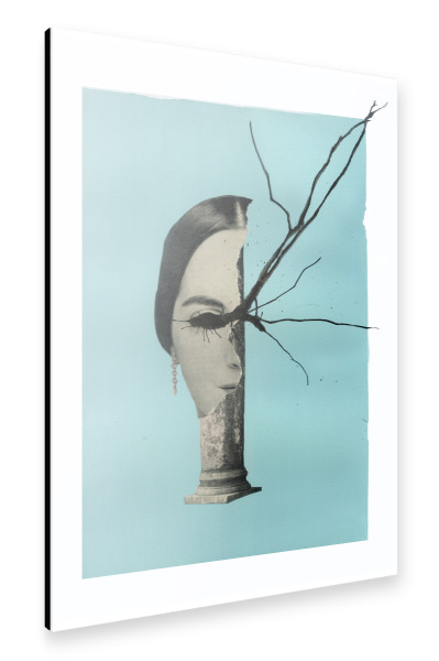 Alu-Dibond "Medusa (Theme I)" 30x20 cm artboxONE