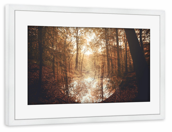 Poster mit Rahmen weiß "Waldspiegelung" artboxONE - Natur,Geometrie