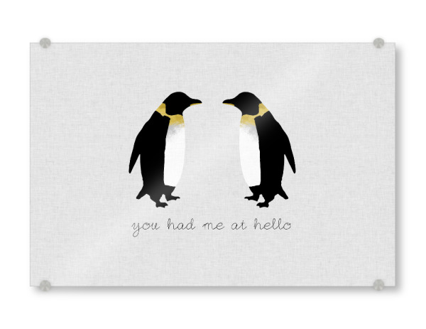 Acrylglasbild "You Had Me 2" artboxONE - Typografie,Natur,Tiere,Abstrakt,Liebe,Lustig - Penguin,Love,Hello