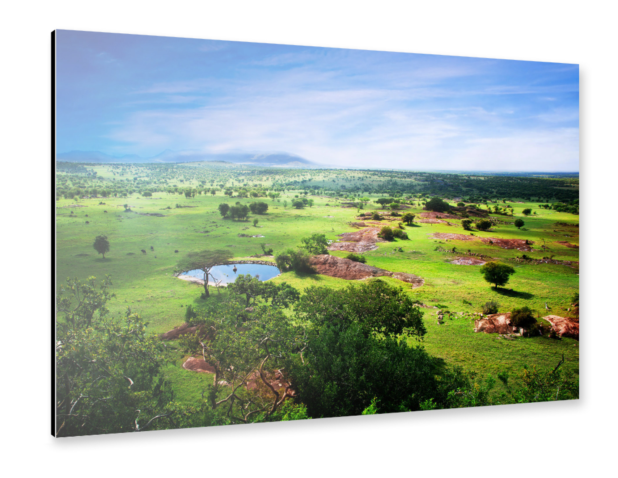 Alu-Dibond "Savanna in bloom, in Tanzania, Africa panorama" 75x50 cm artboxONE