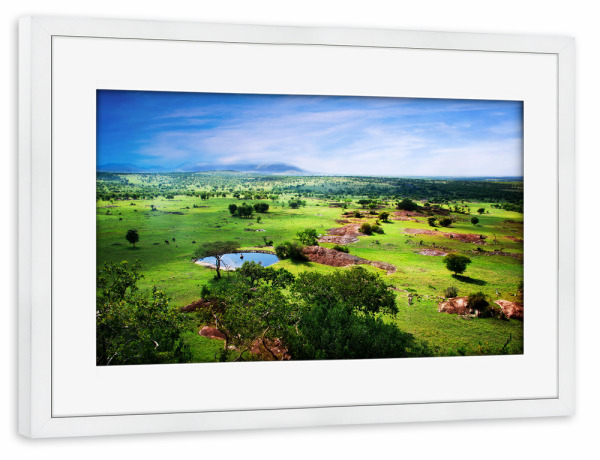 Poster mit Rahmen weiß "Savanna in bloom, in Tanzania, Africa panorama" artboxONE - Natur,Reise / Afrika