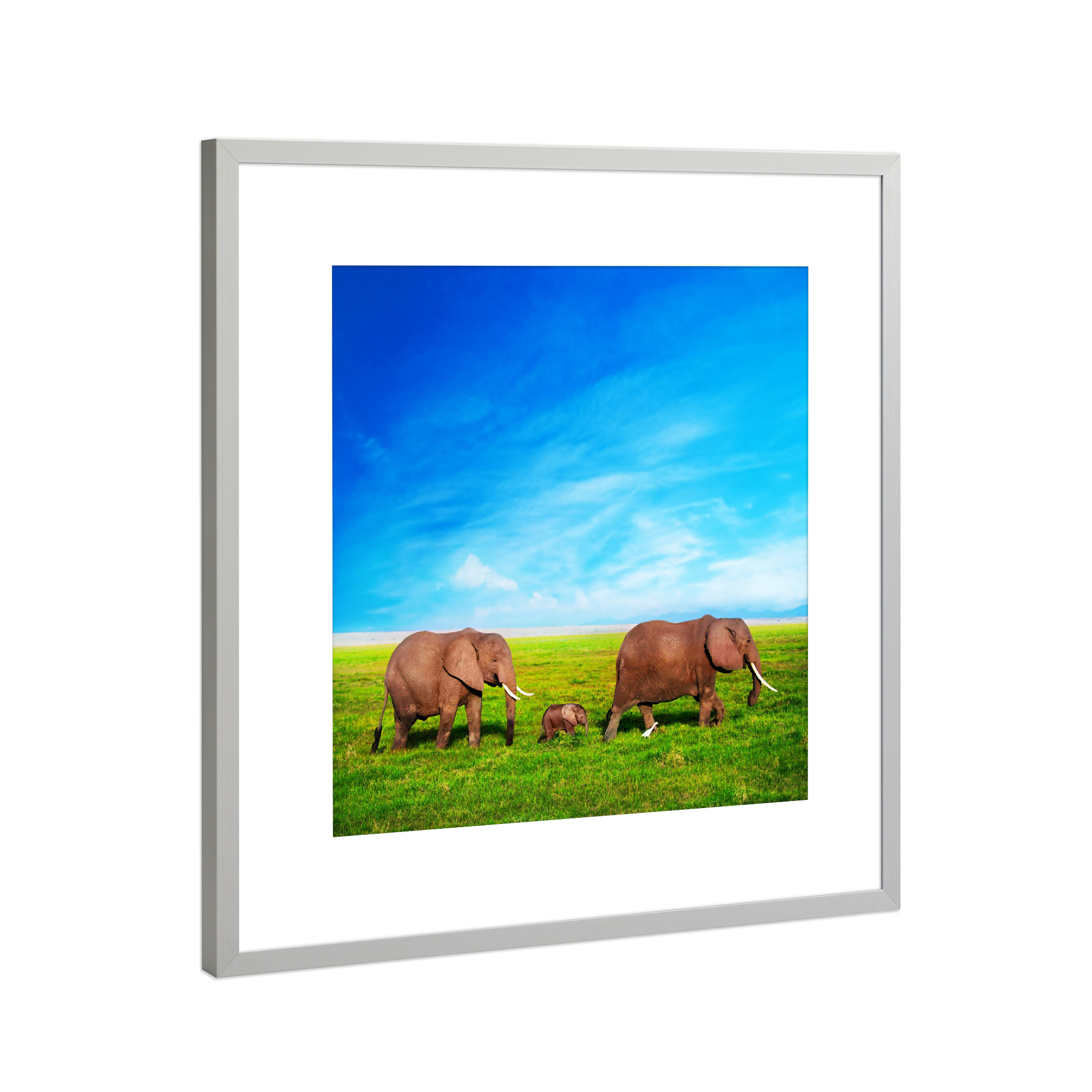 Poster mit Rahmen Silber "Elephants family on savanna. Safari in Amboseli, Kenya, Africa" artboxONE - Tiere,Reise / Afrika