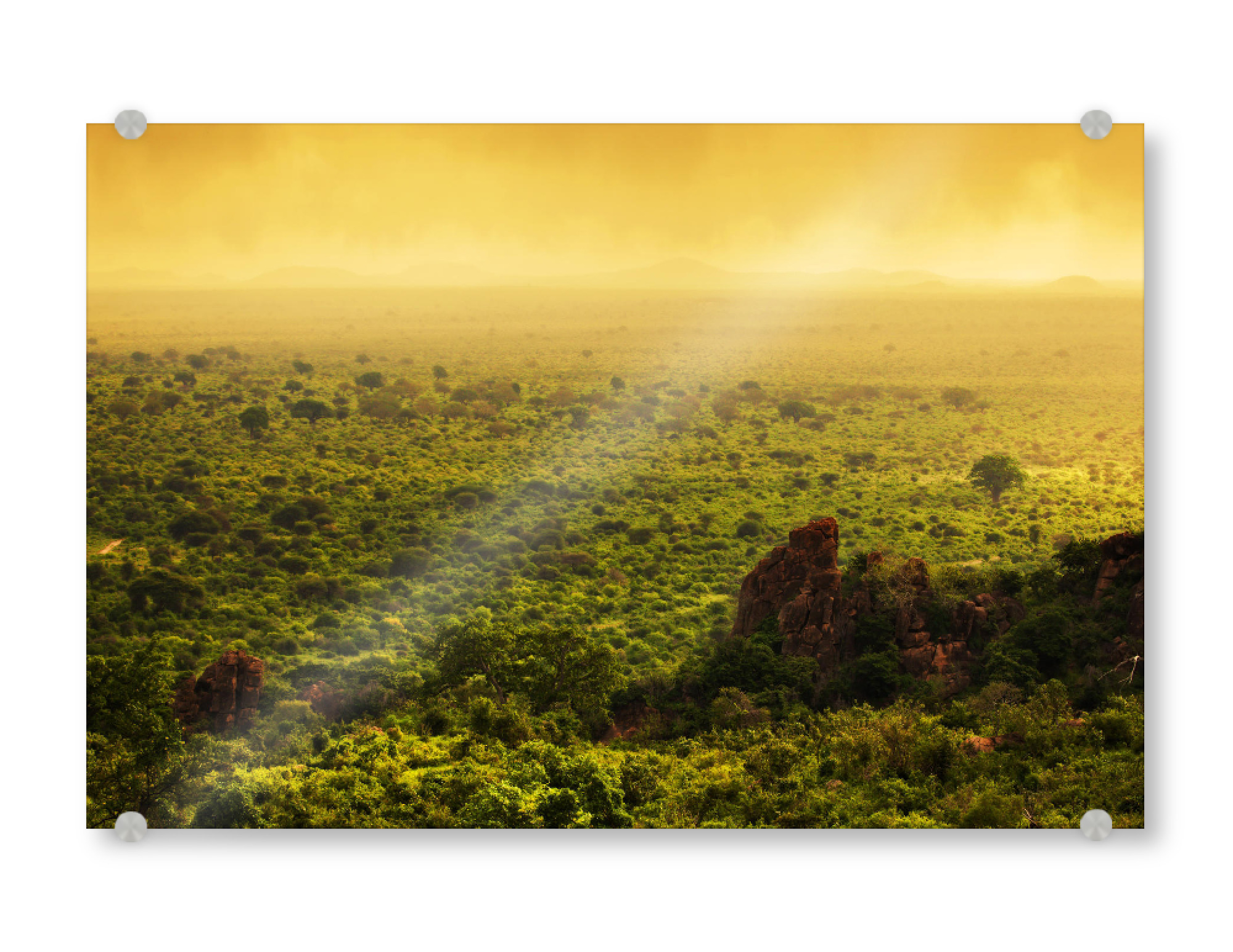 Acrylglasbild "Bush in Kenya, Africa. Tsavo West National Park" artboxONE - Reise / Afrika
