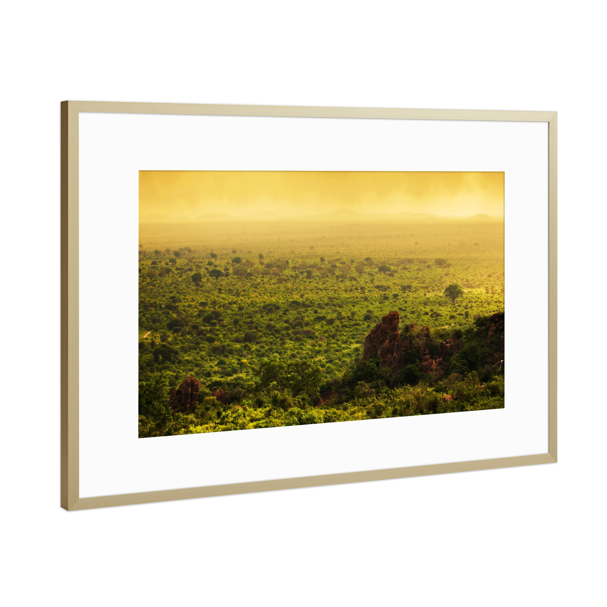 Poster mit Rahmen Gold "Bush in Kenya, Africa. Tsavo West National Park" artboxONE - Reise / Afrika