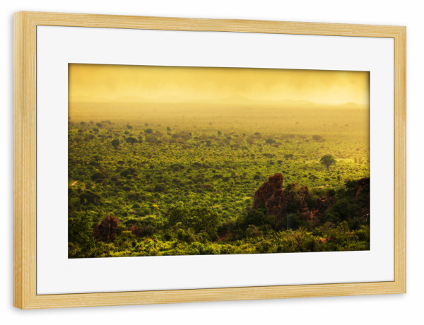 Poster mit Rahmen kiefer "Bush in Kenya, Africa. Tsavo West National Park" artboxONE - Reise / Afrika